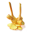 Galangal