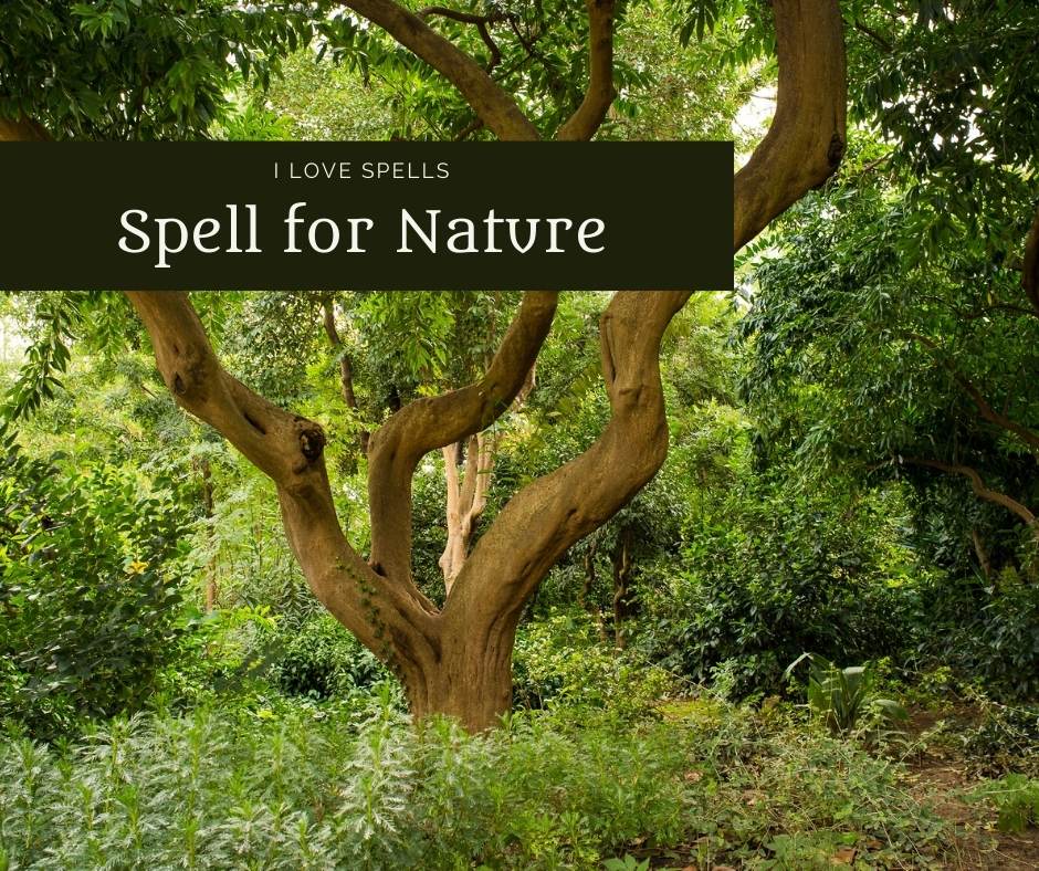 Spell for Nature