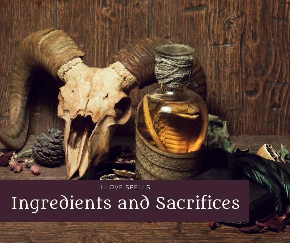Voodoo Ingredients and Sacrifices